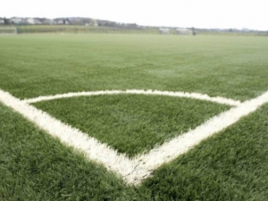 Sports artificial grass